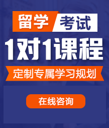 男人大鸡巴日女人逼的视频留学考试一对一精品课